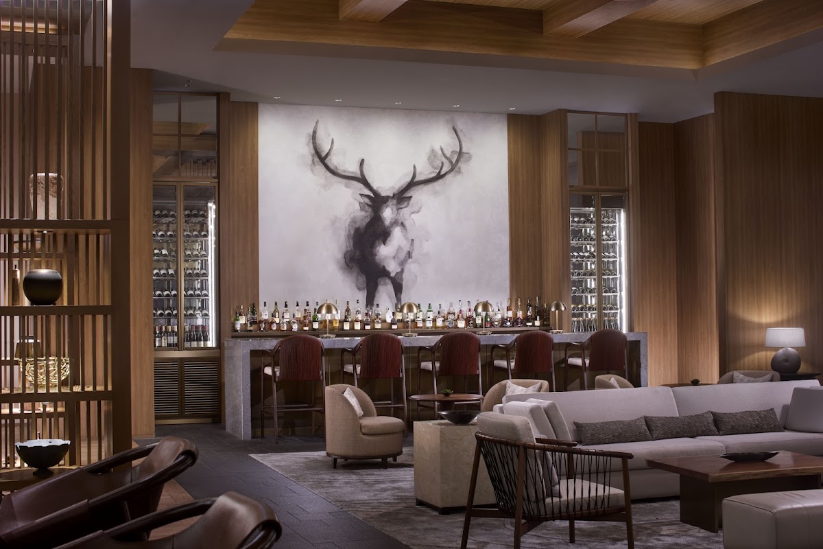 Flying Stag