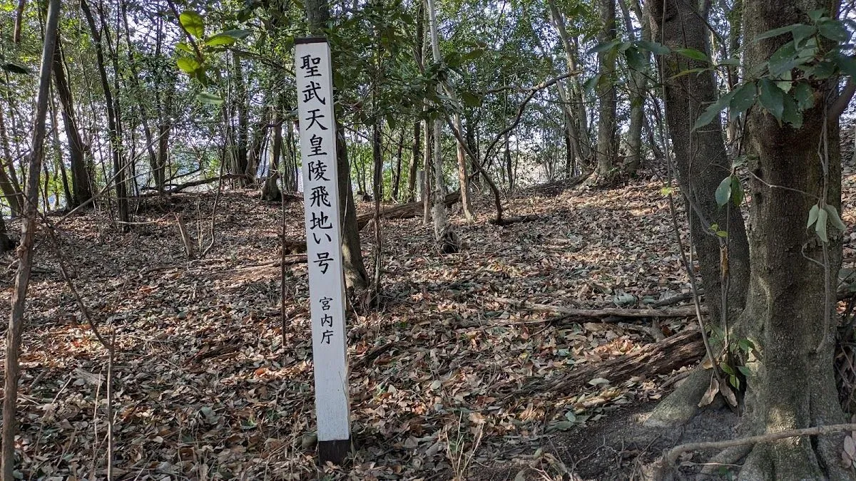 西安の森