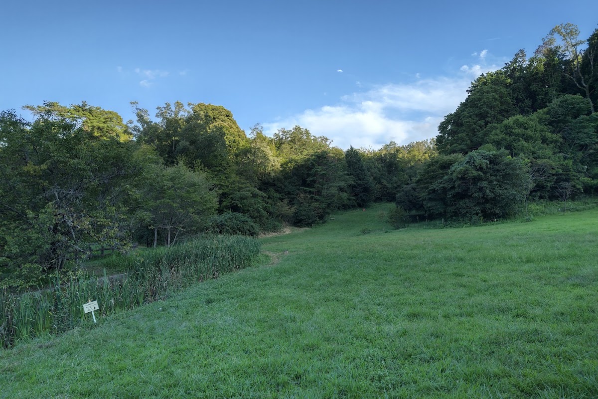 Yata Nature Park