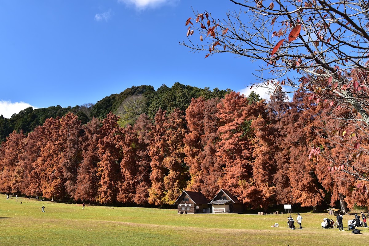 Yata Nature Park 2