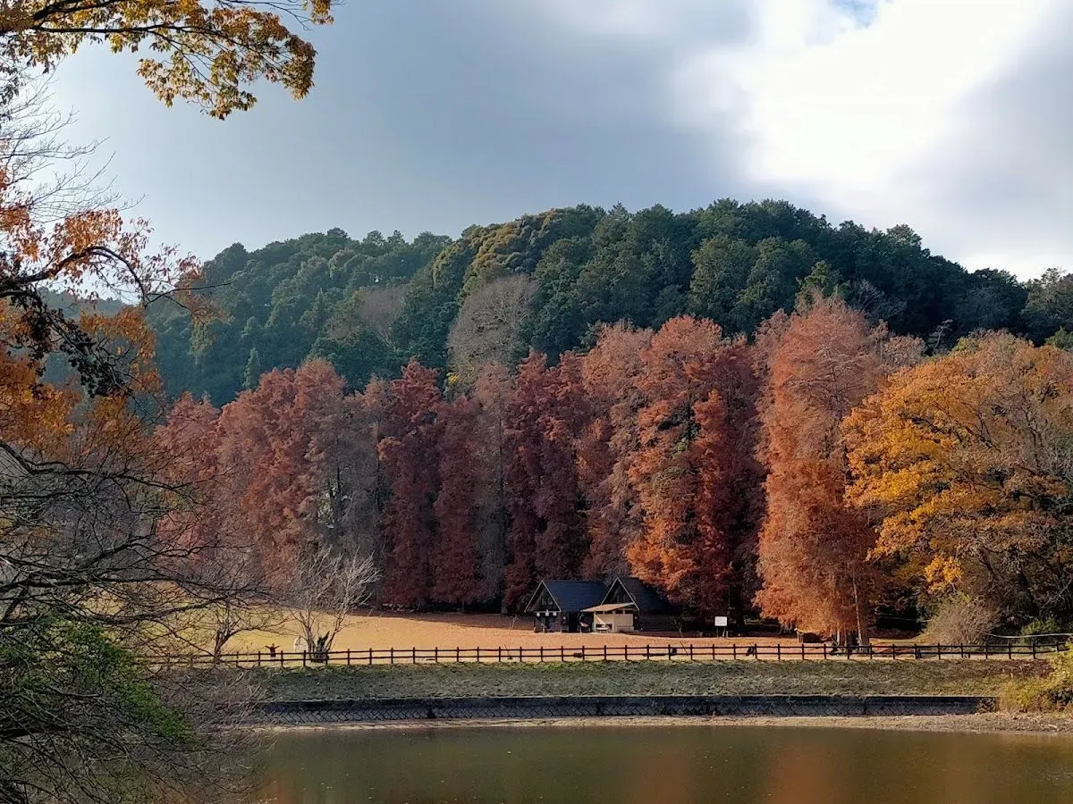 Yata Nature Park 3