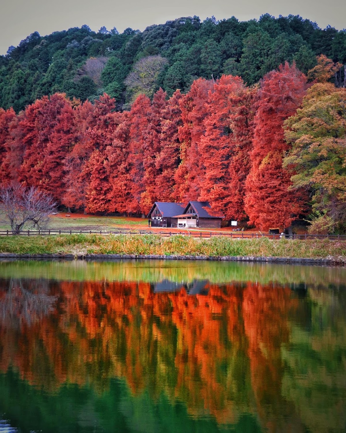 Yata Nature Park 4