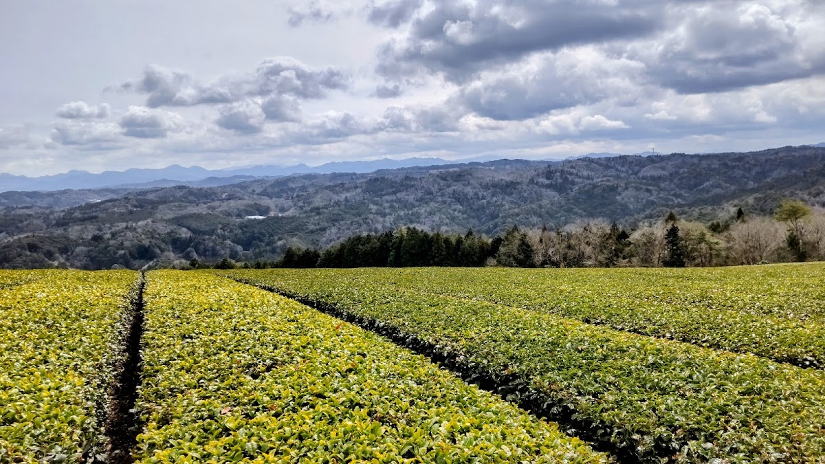 Prefectural Tsukigase-Konosan Natural Park 県立月ヶ瀬神野山自然公園 3