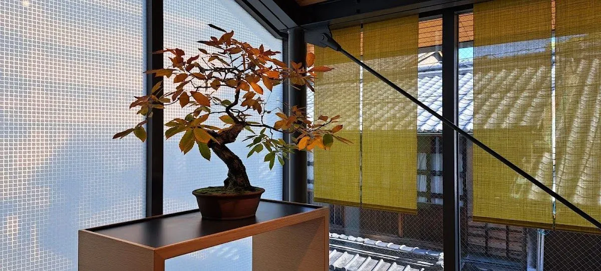 Shika Saru Kitsune Building 3