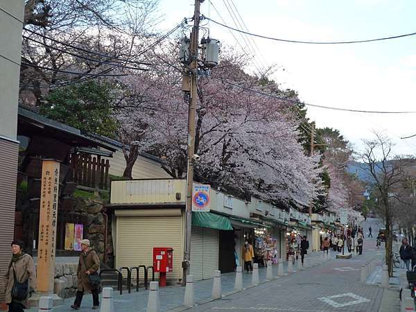 Nara Sanjo-dori Shopping Street 4