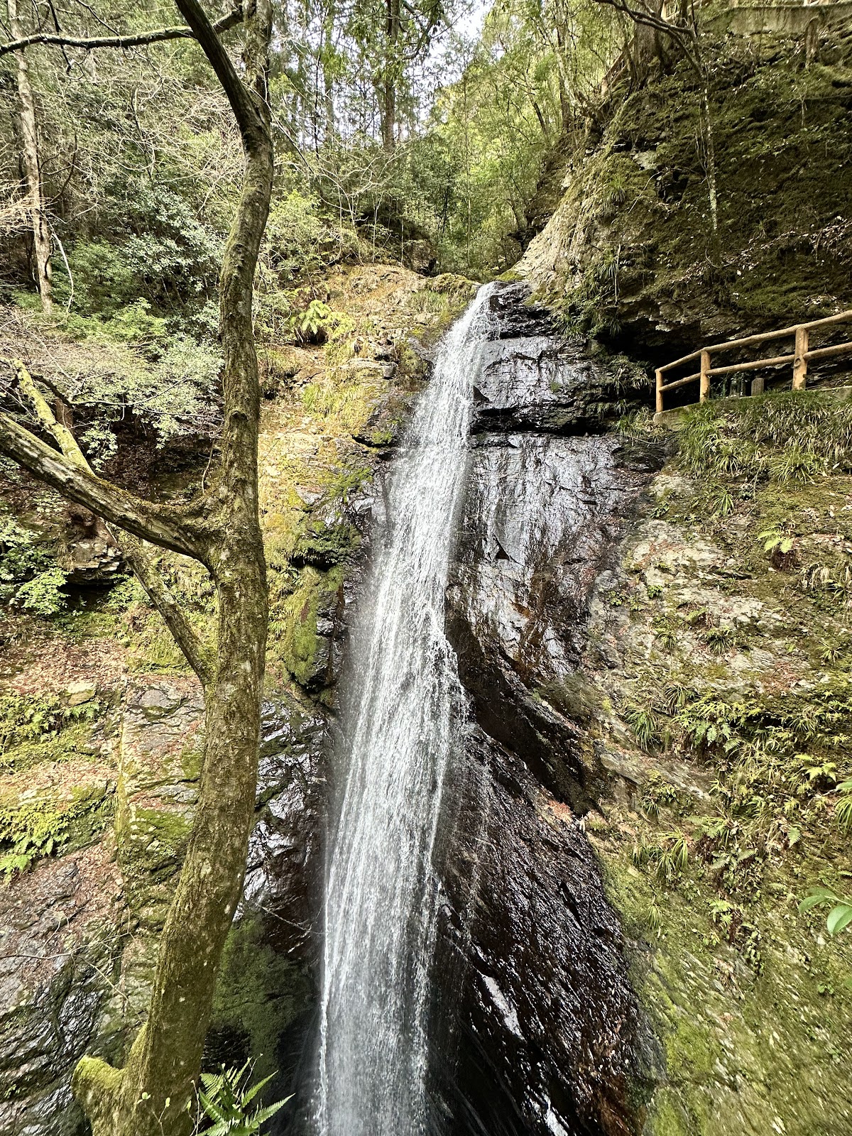 Akitsu-no-Ono Park