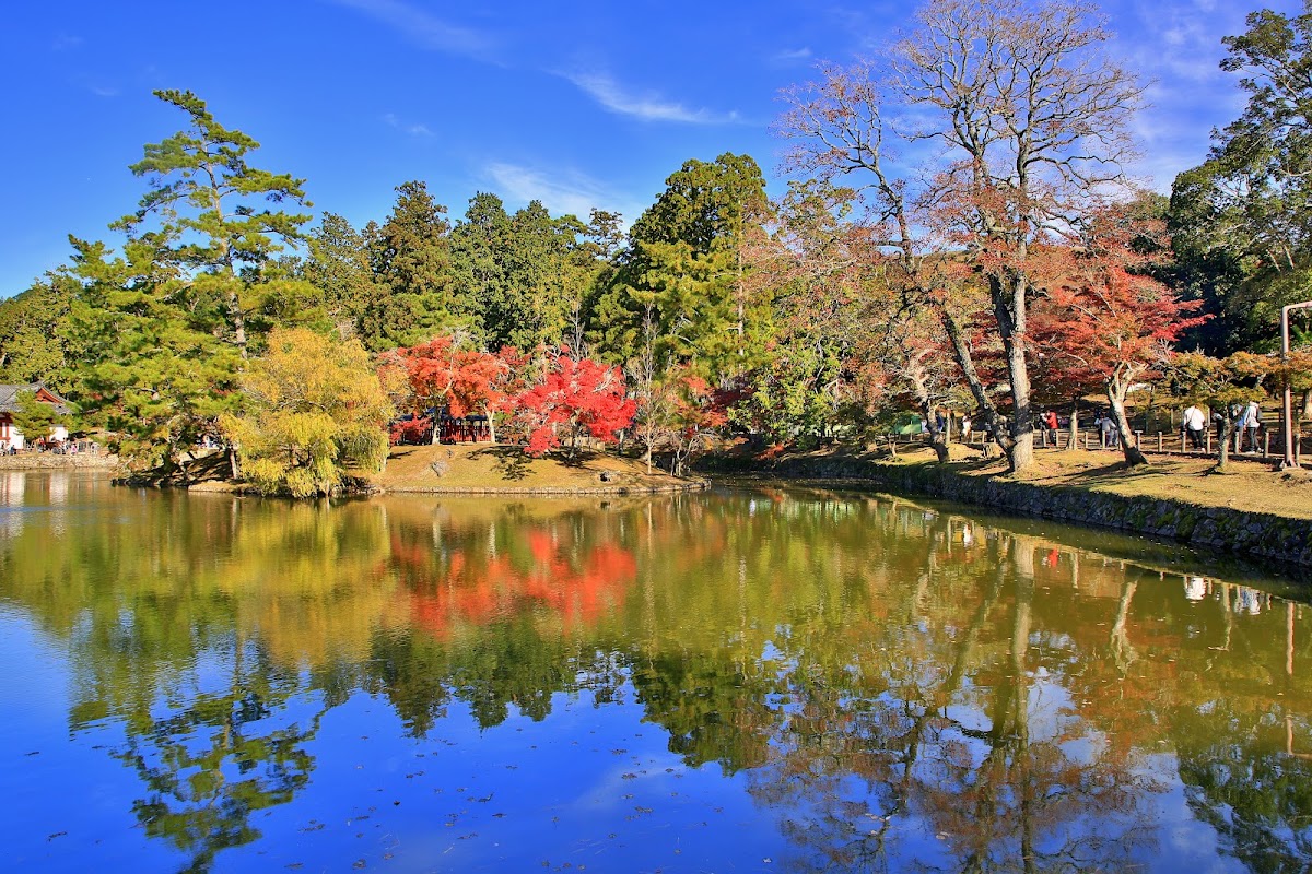 Todaiji Kagami-ike Pond 2