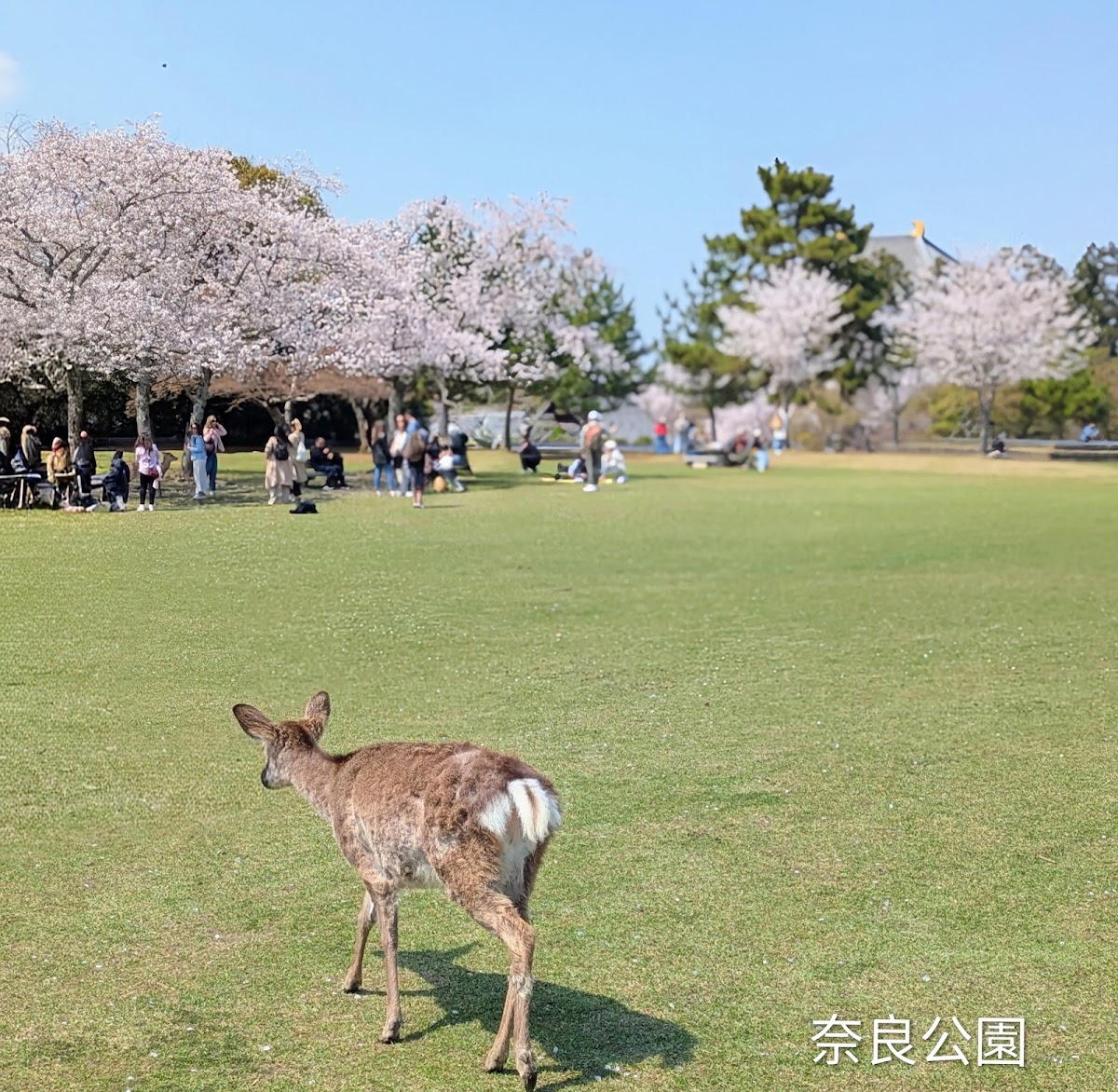 Kasuganoenchi 2