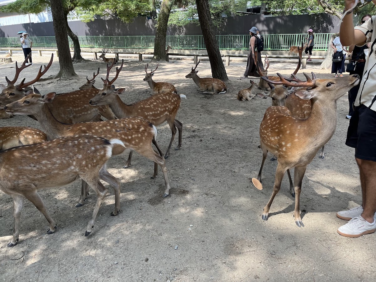 Noborioji Park