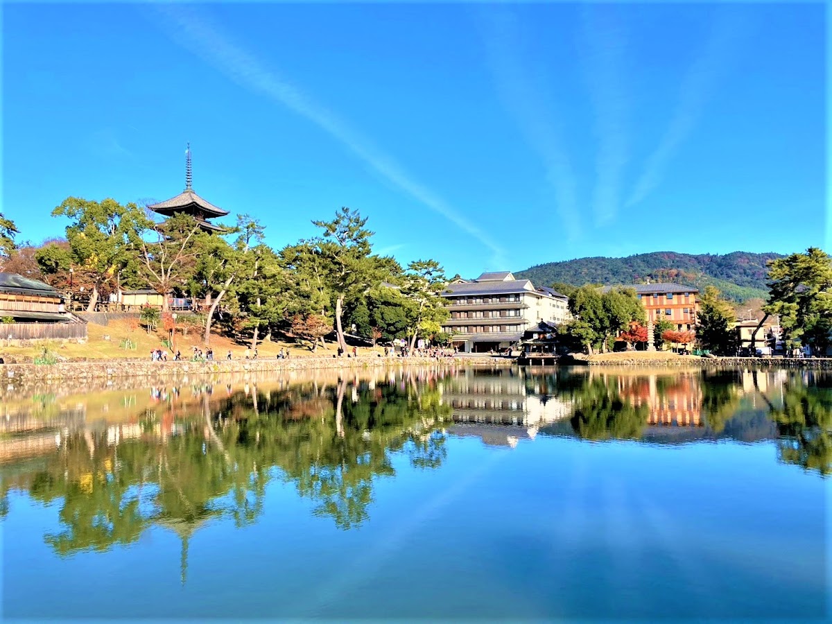 Sarusawa Pond