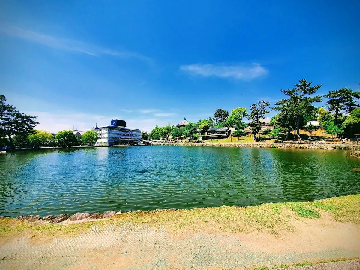 Sarusawa Pond 3