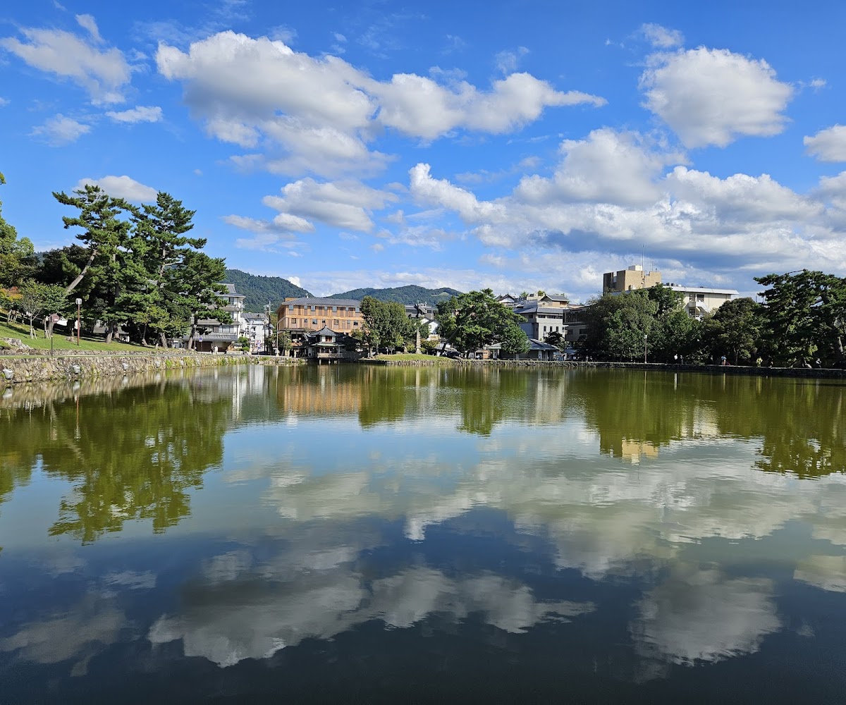 Sarusawa Pond 4