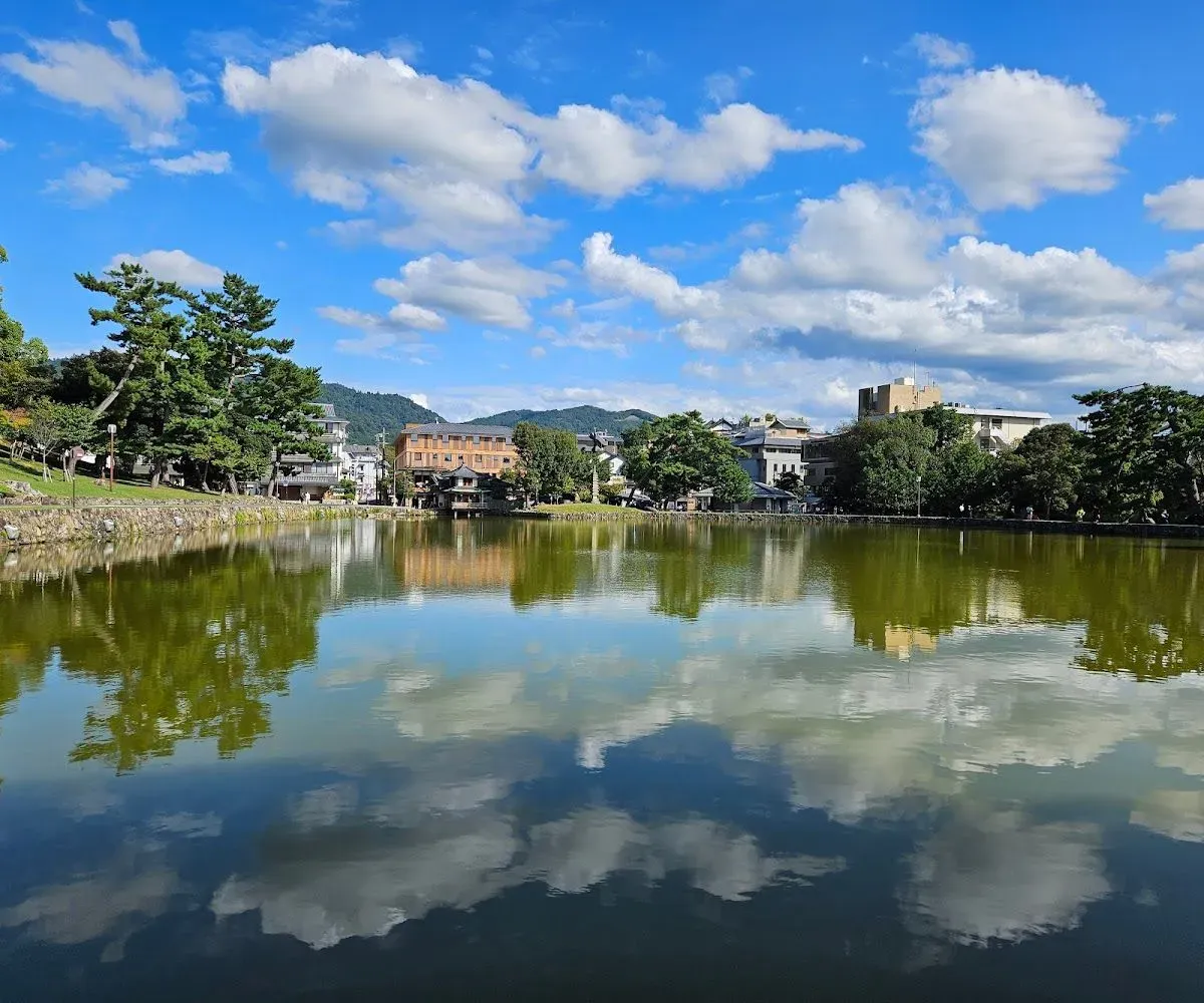 Sarusawa Pond 4