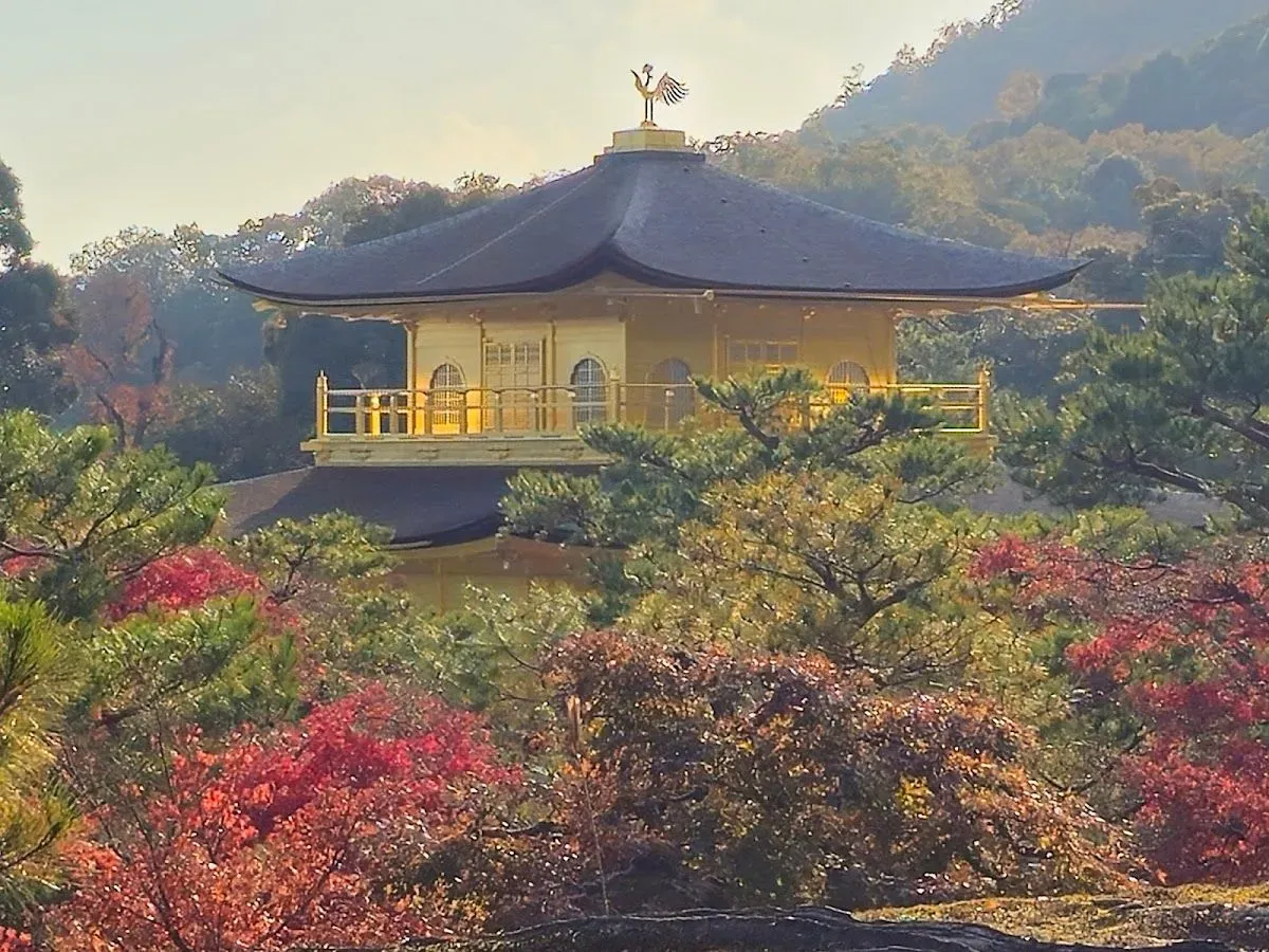 Kinkaku-ji 3
