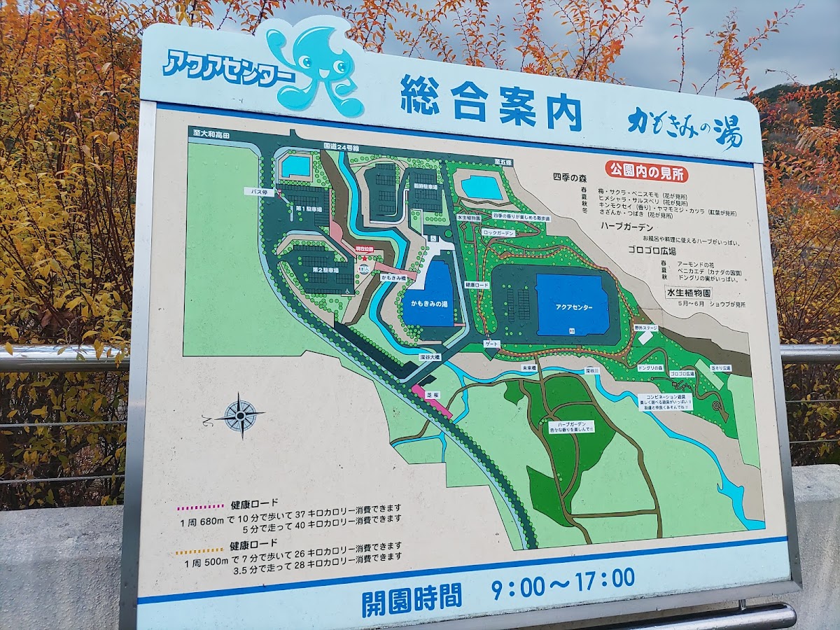 Kamokimi-no-yu Hot Spring 4