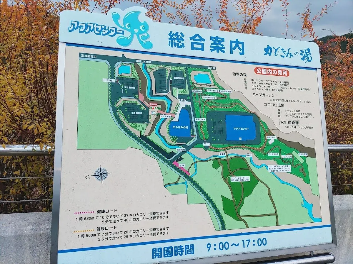 Kamokimi-no-yu Hot Spring 4