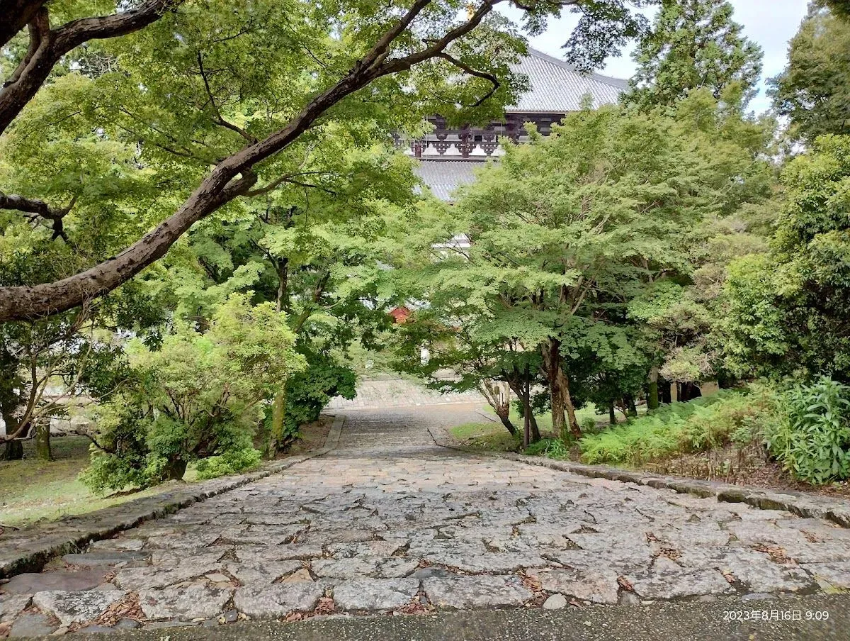 Nekodan (Cat Stairway) 3