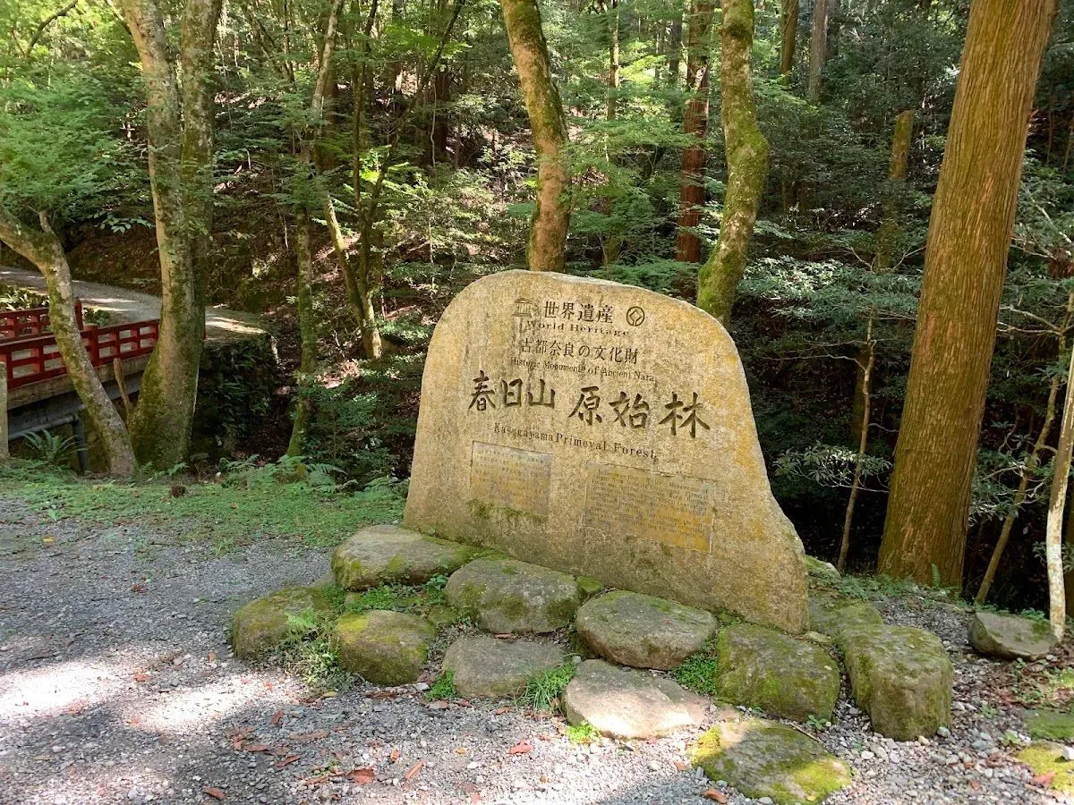 Mt. Kasuga Primeval Forest 4