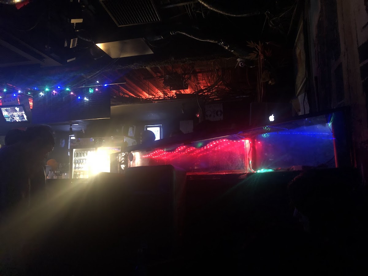 Bar Heaven 4