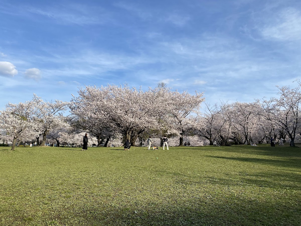 Oizumi Ryokuchi Park 2
