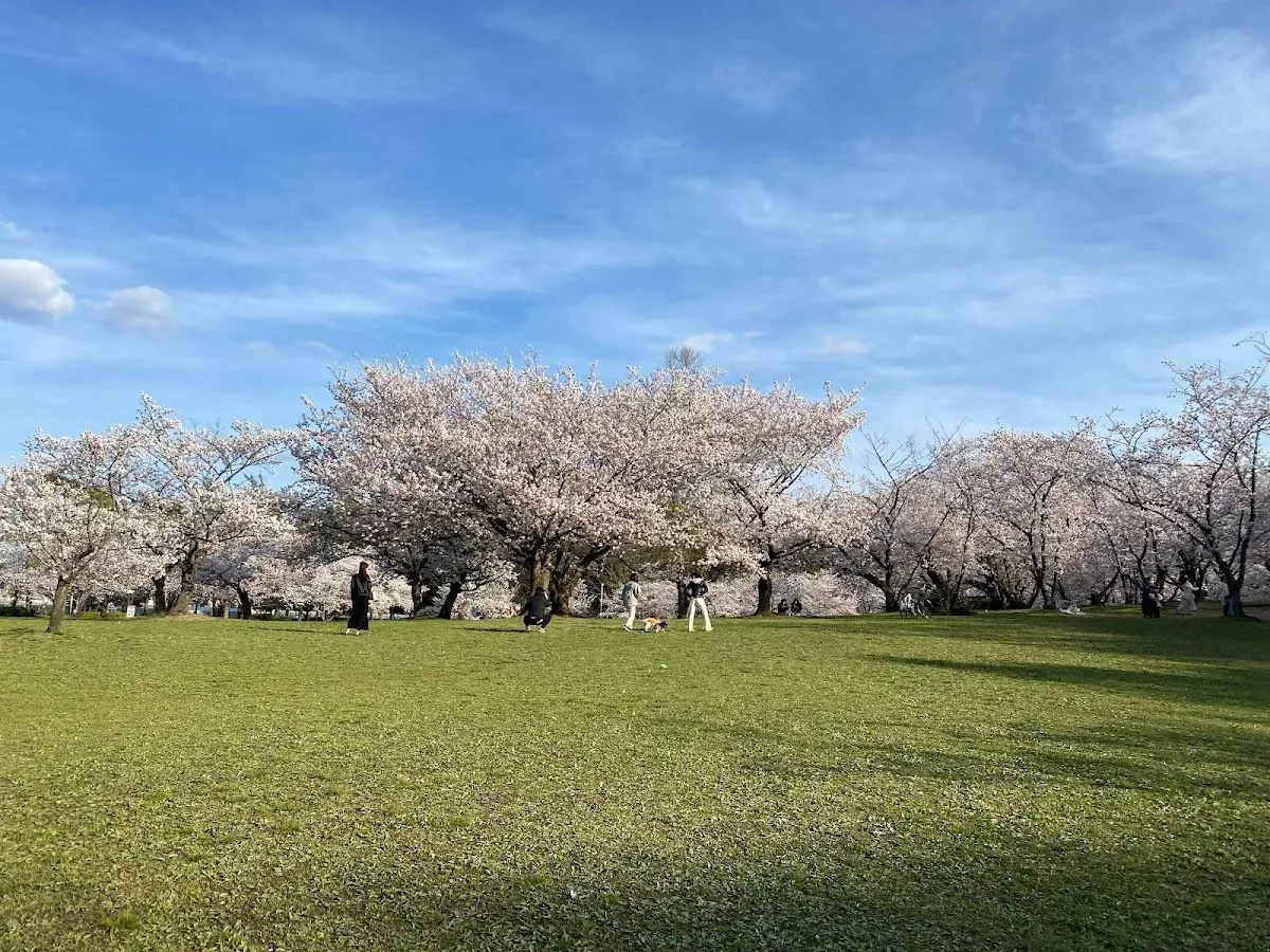 Oizumi Ryokuchi Park 2