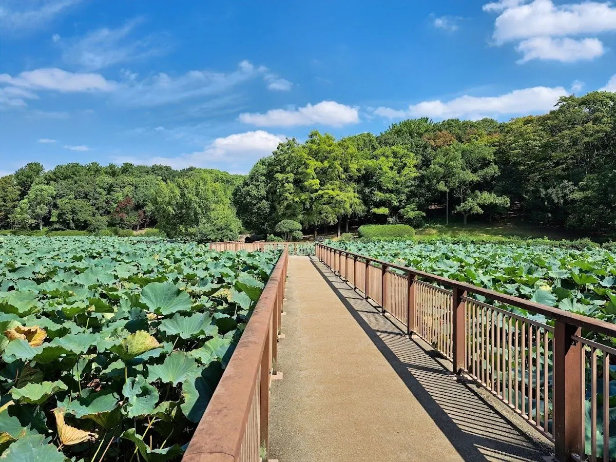 Oizumi Ryokuchi Park 4