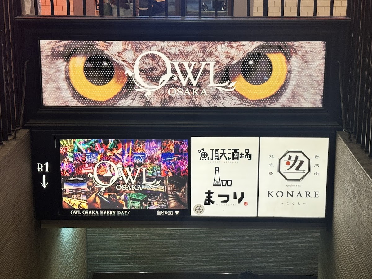 OWL 4