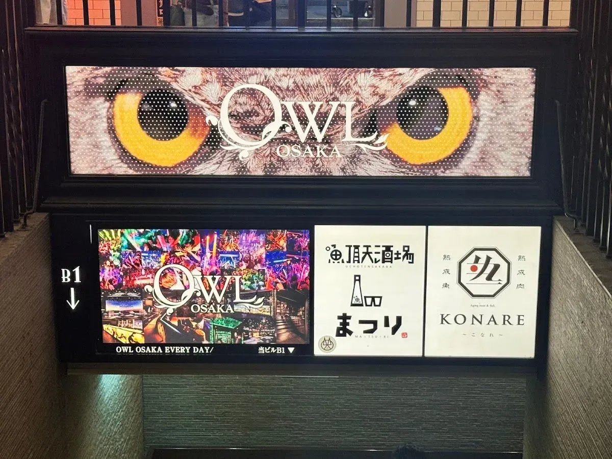 OWL 4