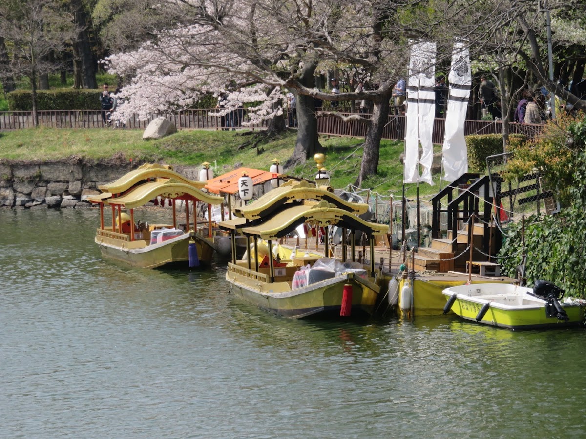 Gokuraku-bashi Bridge 4