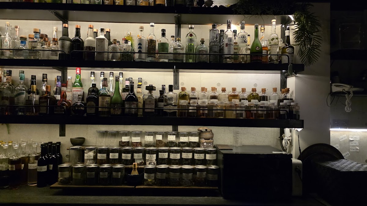 Hedonist 2