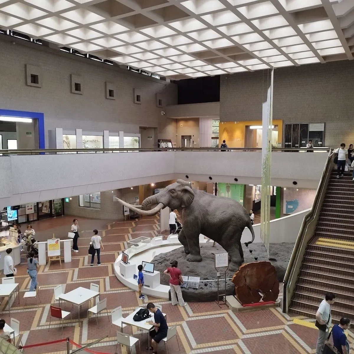 Osaka Museum of Natural History 2