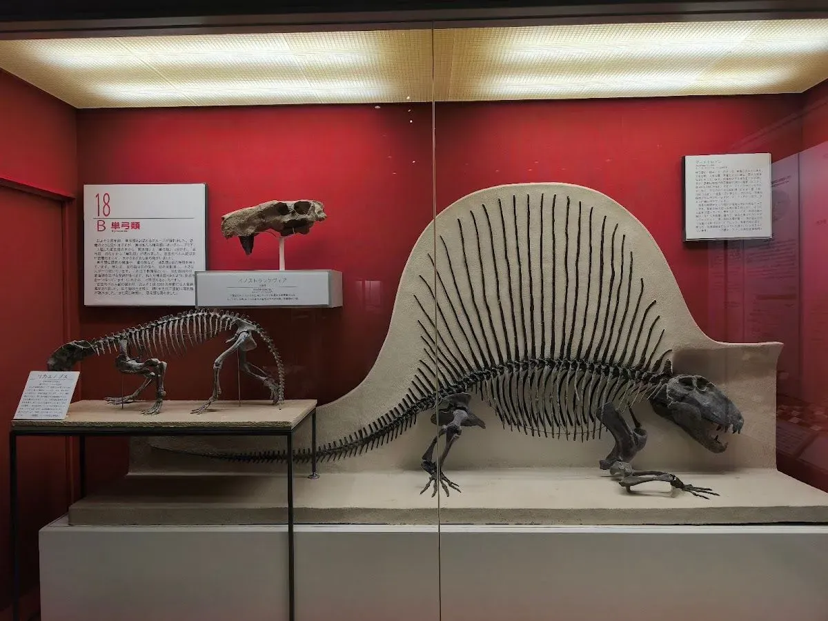 Osaka Museum of Natural History 4