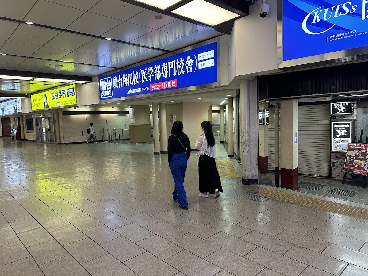 Yodobashi Camera Multimedia Umeda