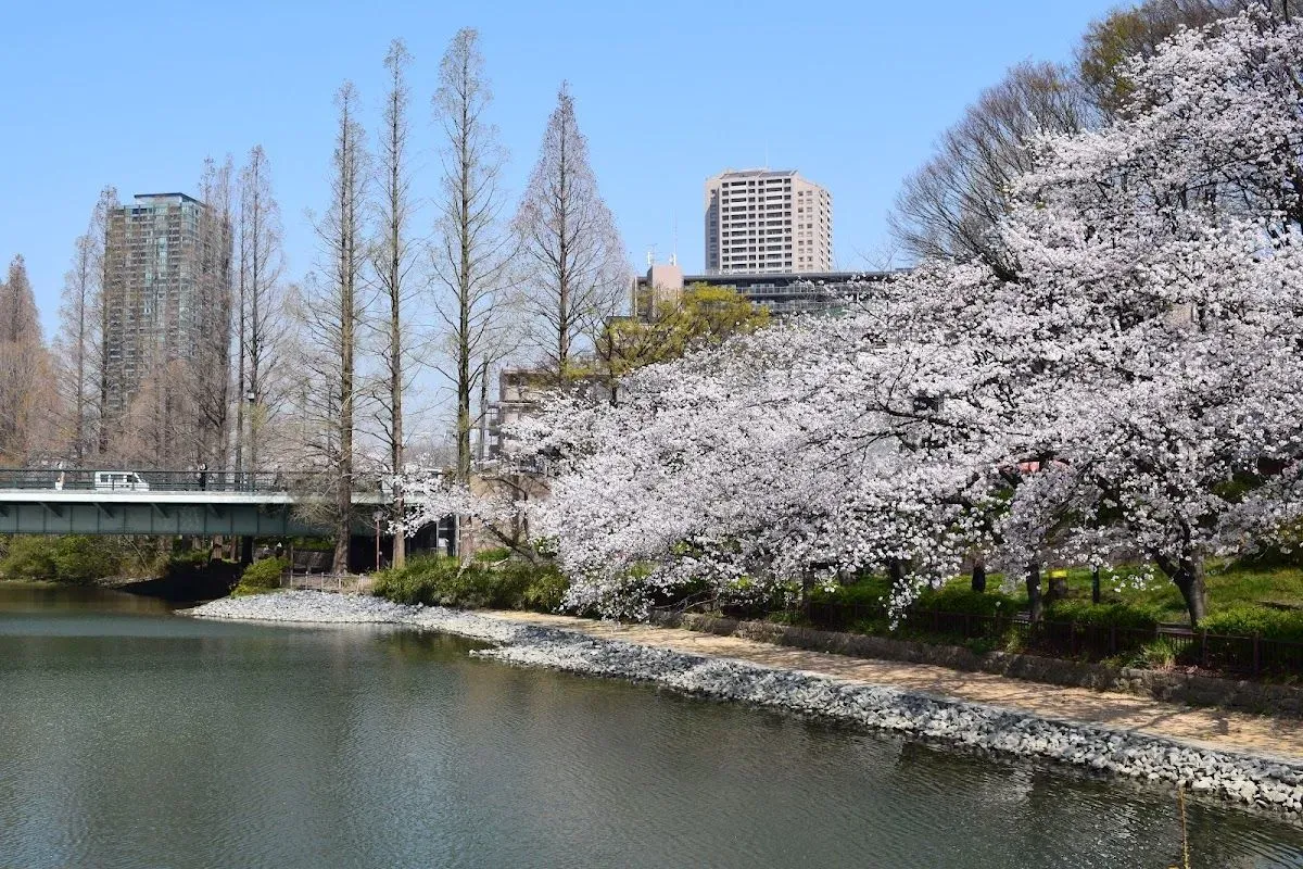 Osaka Waterfront Park “Sakuranomiya Beach”