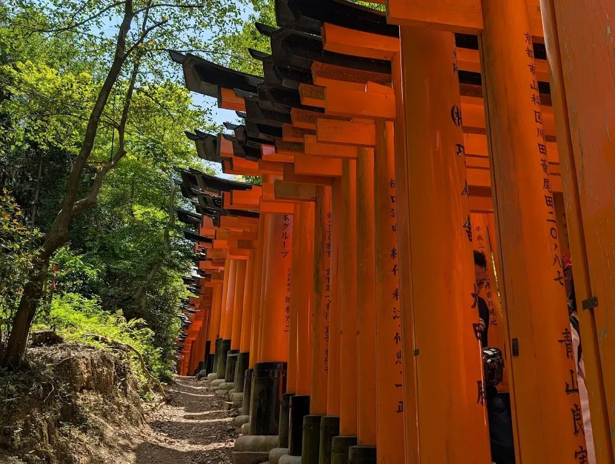 Fushimi Inari Taisha 3