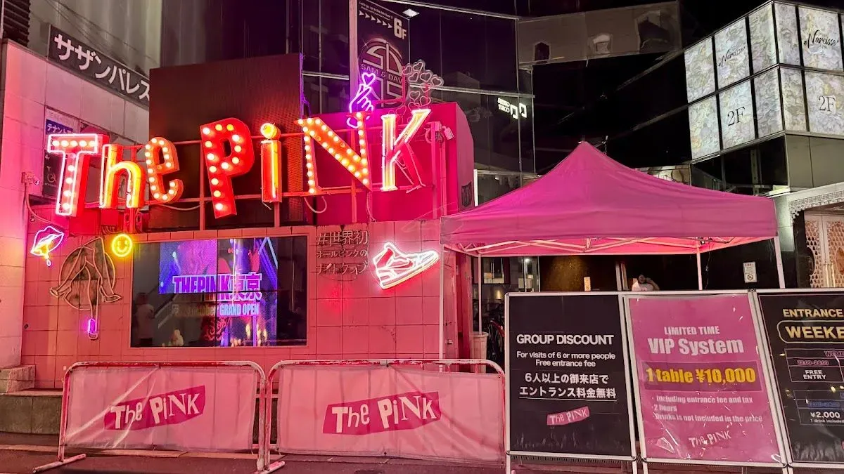 THE PINK 2
