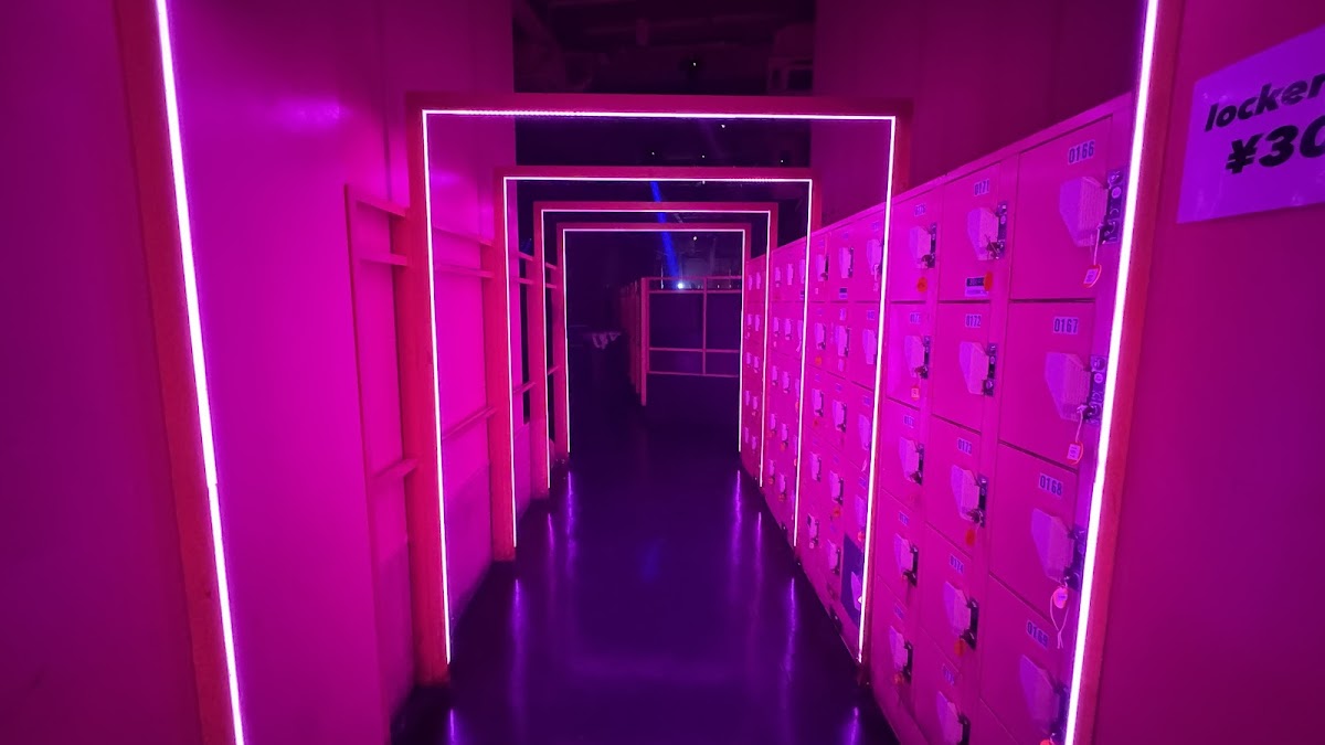 THE PINK 3