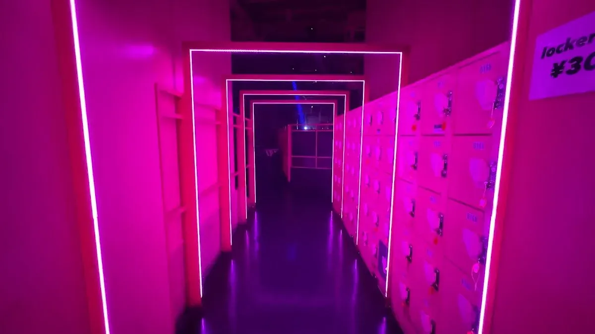 THE PINK 3