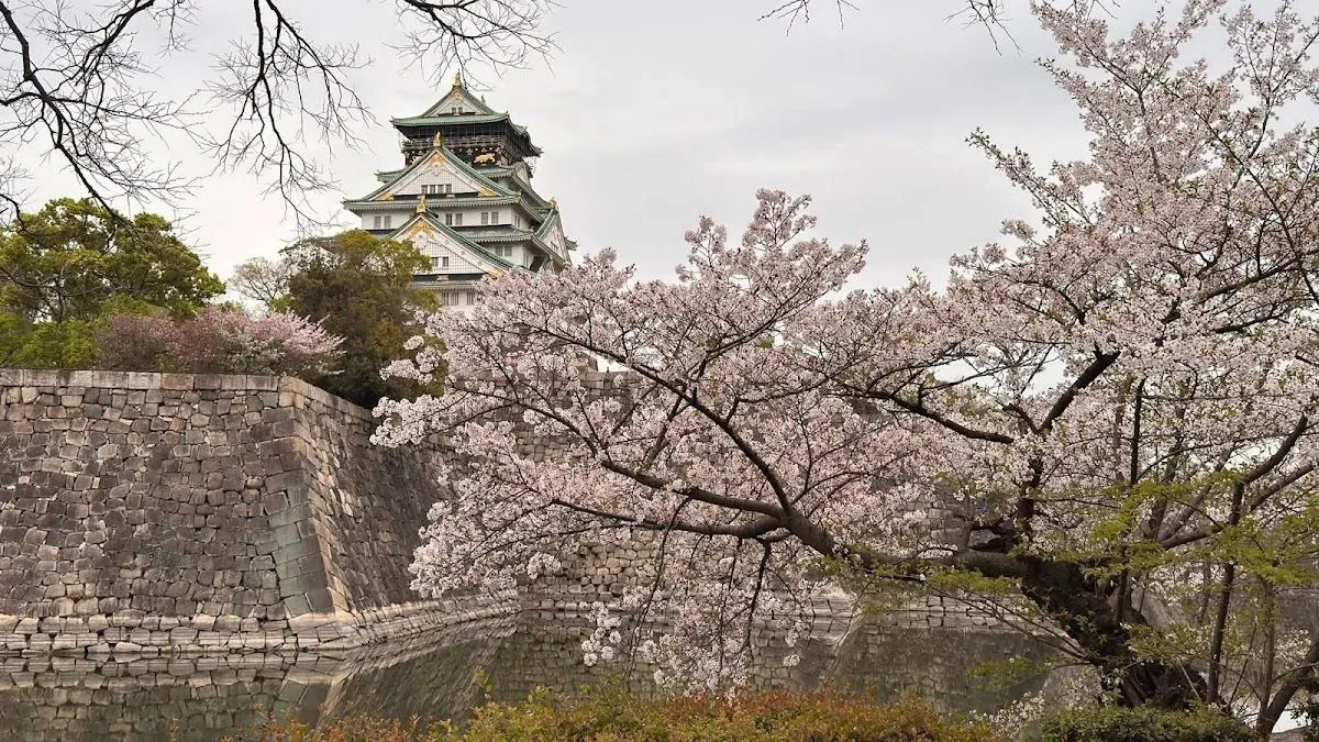 Osaka Castle Museum 2