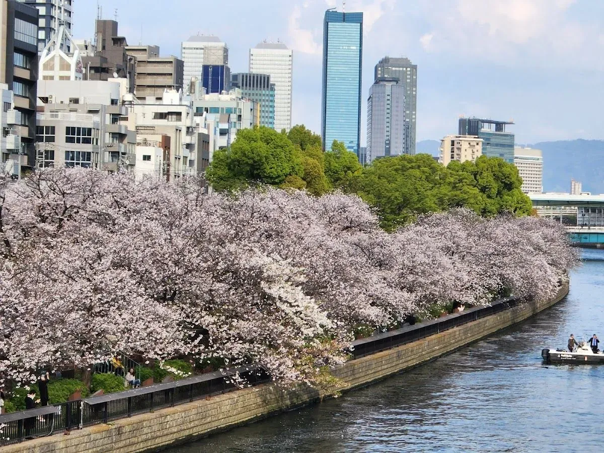 Nakanoshima Park 4
