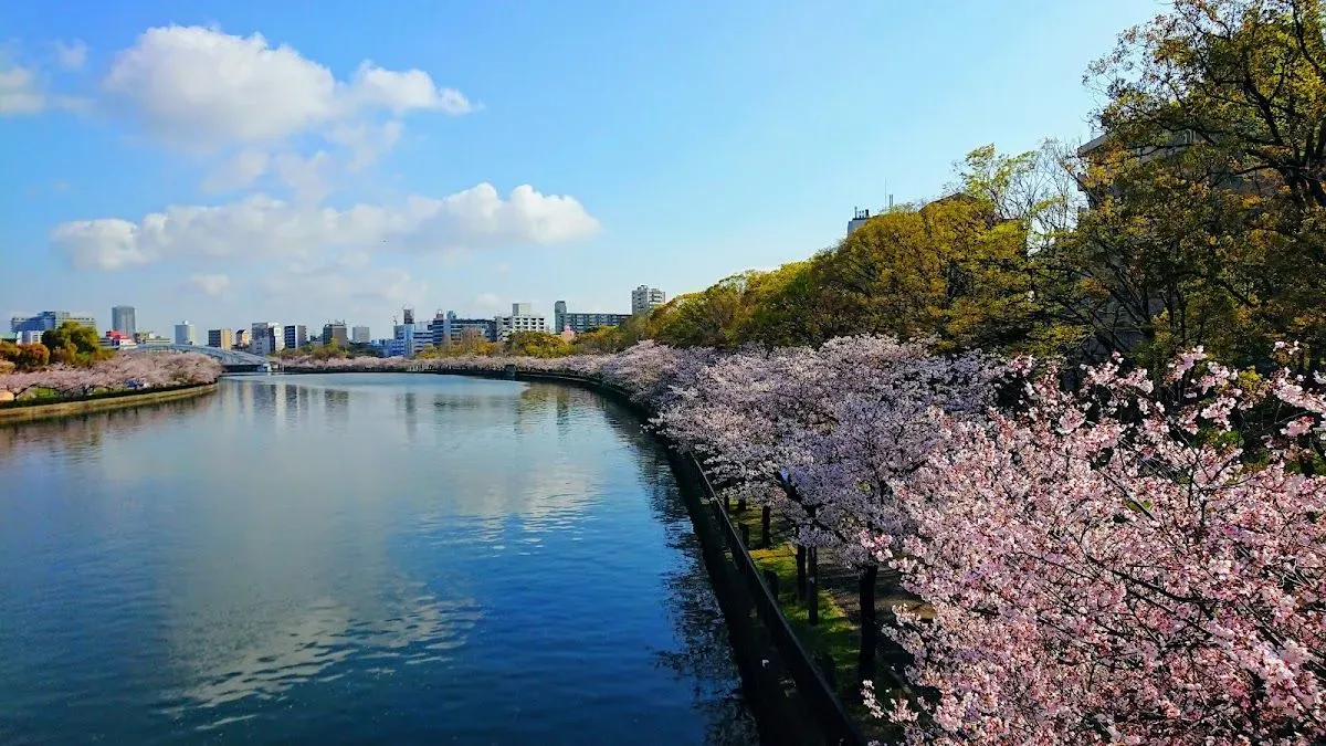 Kema Sakuranomiya Park