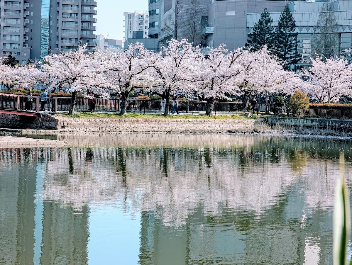 Kema Sakuranomiya Park 2