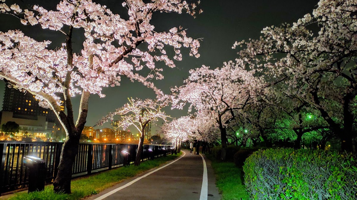 Kema Sakuranomiya Park 3