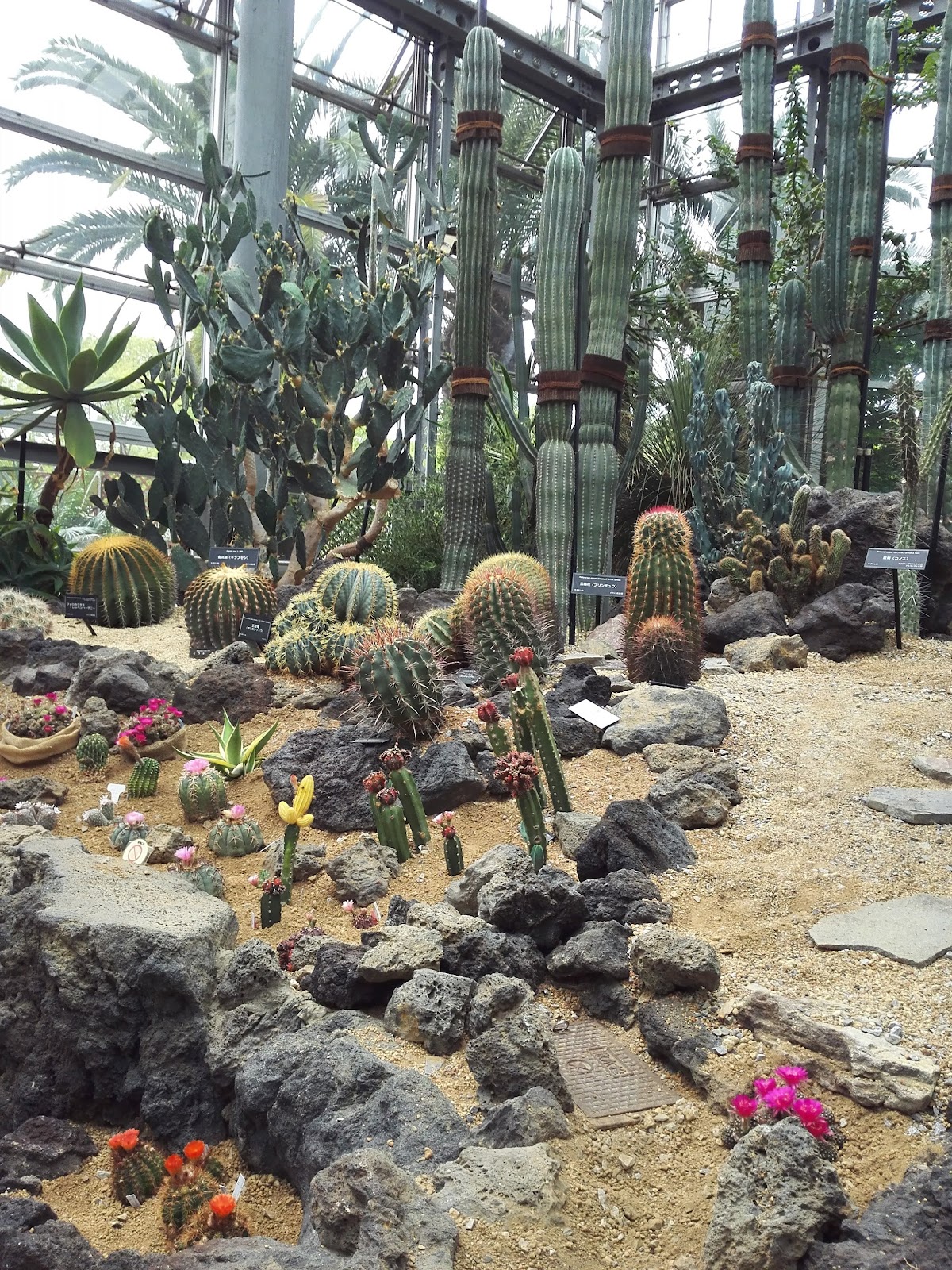 Tsurumi Ryokuchi Park 2