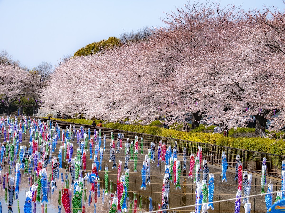 Hanazono Central Park 4