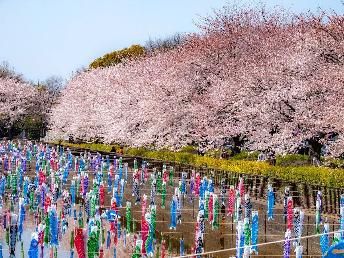 Hanazono Central Park 4