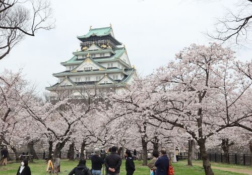 Osaka Castle Park 2