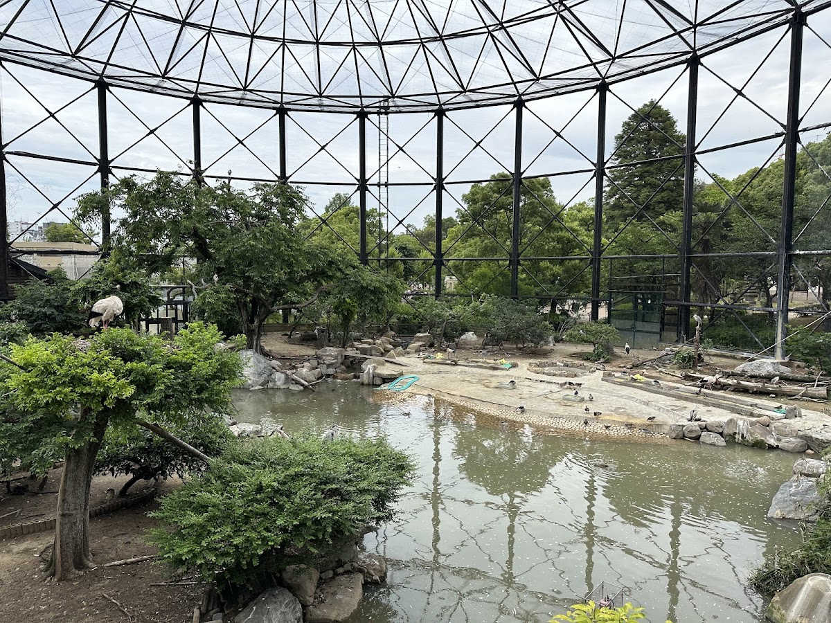 Tennoji Zoo 3