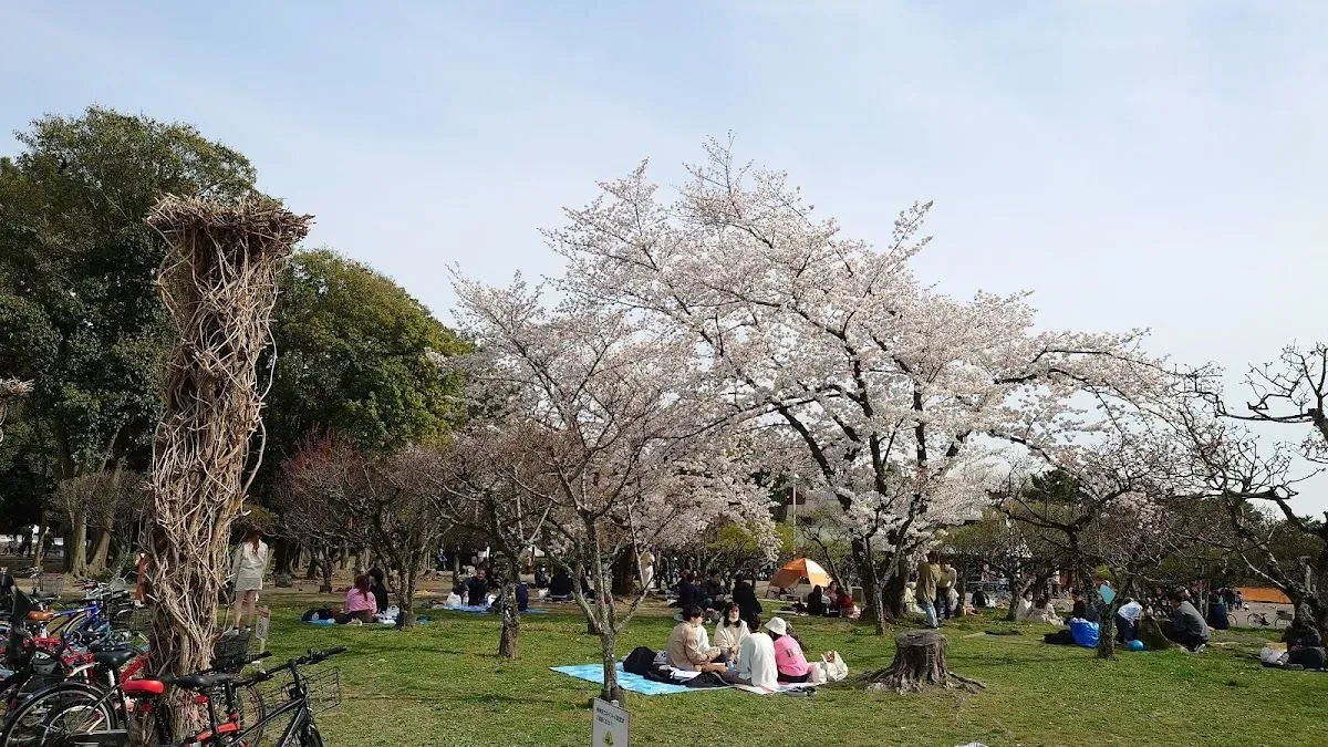 Hattori Ryokuchi Park 4