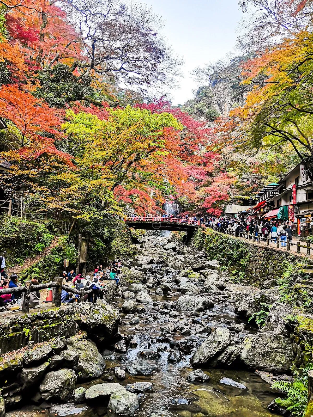 Minoh Park 2
